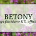 Betony