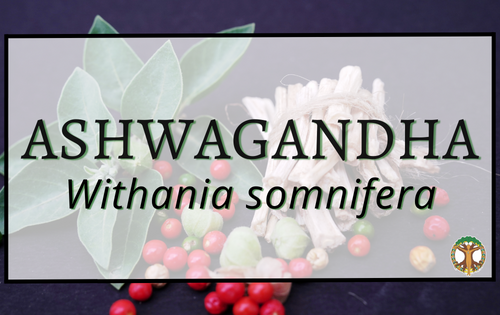 Ashwagandha