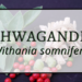 Ashwagandha