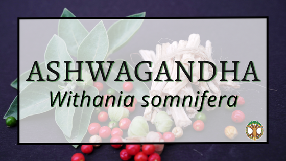 Ashwagandha