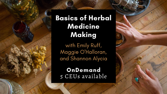 Basics of Herbal Medicine Making