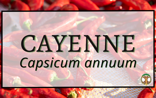 Cayenne