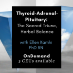 Thyroid Adrenal