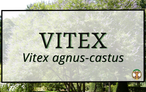 Vitex