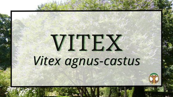 Vitex