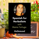 Spanish for Herbalists Mama Tortuga Ondemand