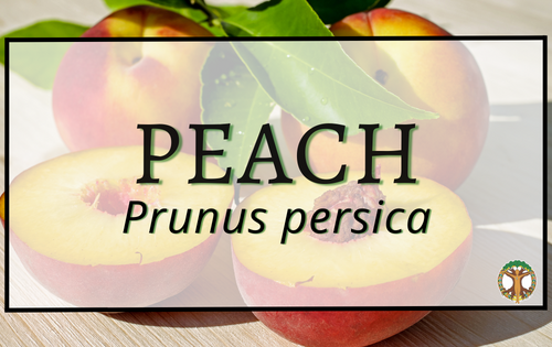 Peach