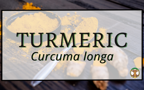 Turmeric