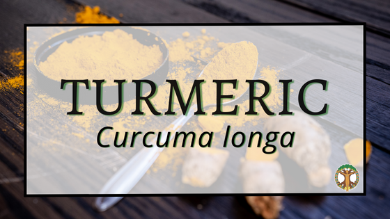 Turmeric