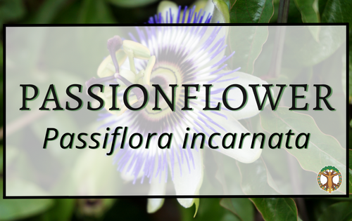 Passionflower