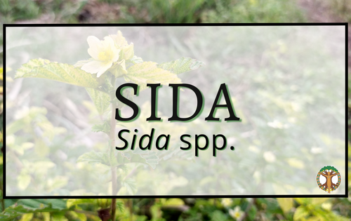 Sida 1