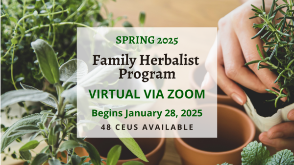 Family Herbalist Program - Live Online Via Zoom - Spring 2025