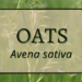 Oats