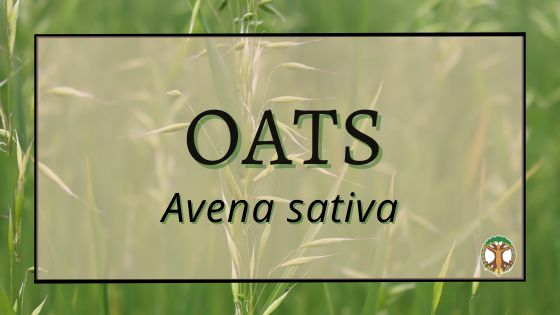 Oats