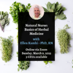 Natural Nurse Basics of Herbal Medicine Class 1080x1080 1 1